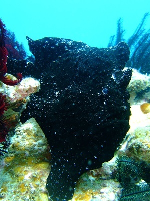 b0033573_21505456.jpg