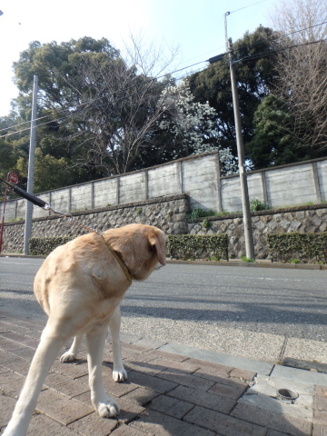 f0052277_01324899.jpg