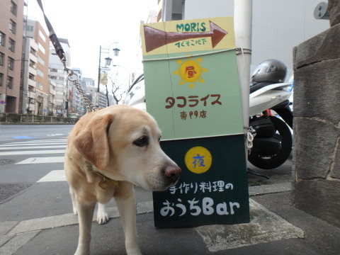 f0052277_01384838.jpg