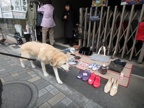 久々にご飯内容リストアップしてみました_f0052277_01412422.jpg