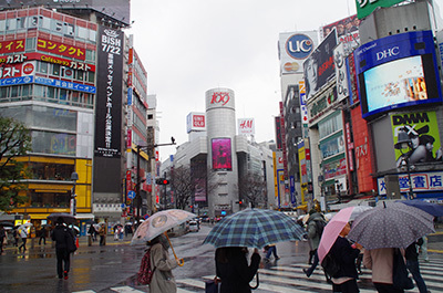b0056983_12084724.jpg