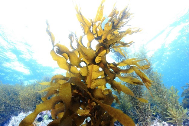 f0151886_13184645.jpg