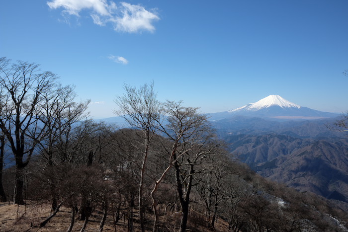 b0339488_19265036.jpg