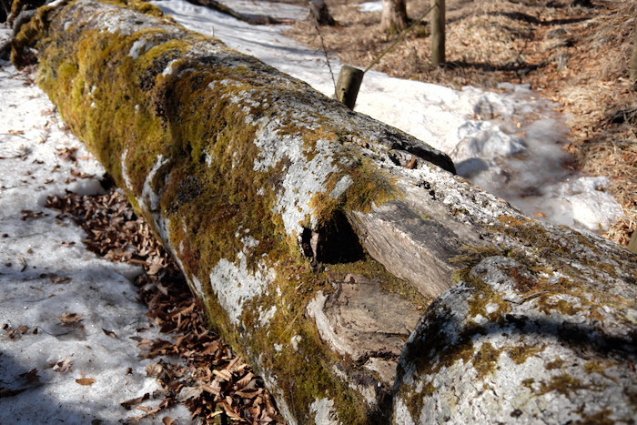 b0339488_19270410.jpg