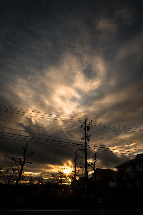 雨上がりの黄昏_d0353489_20475116.jpg
