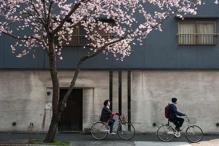 桜咲く街角_d0353489_22311138.jpg