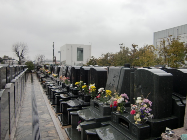 4月休園日のご案内_b0263390_14564037.jpg