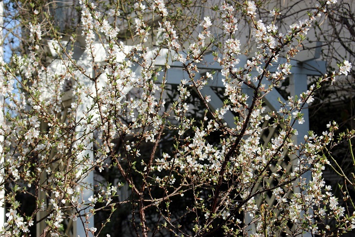 d0099791_00204527.jpg