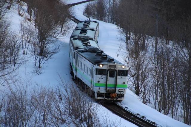 藤田八束の鉄道写真@北海道に優秀な指導者が欲しい・・・若者にチャンス、明治維新以来のチャンスに若者よ挑戦せよ_d0181492_23483590.jpg