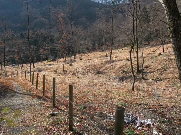 a0166196_17291944.jpg