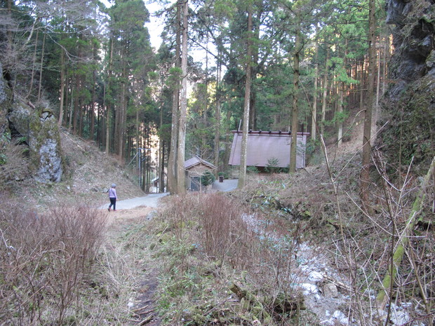 a0166196_17592322.jpg