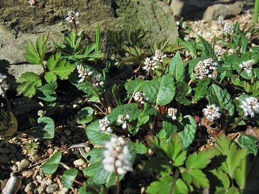 c0117898_20262983.jpg
