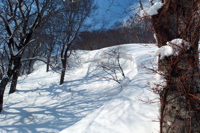 花染山。ブナ回廊を楽しむ。_e0137200_21313886.jpg