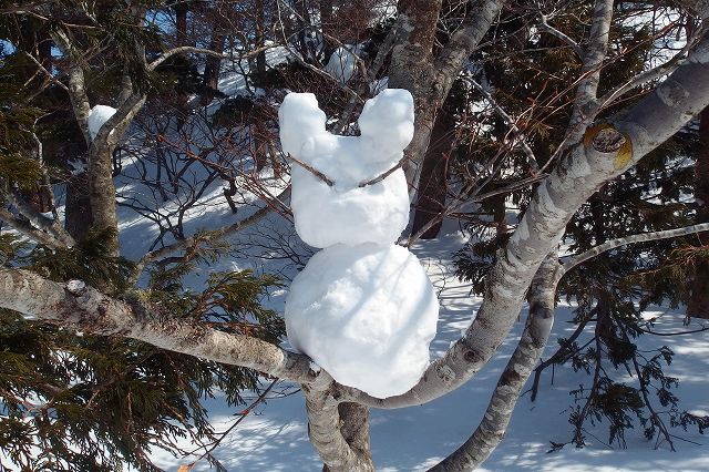 花染山。ブナ回廊を楽しむ。_e0137200_2133412.jpg