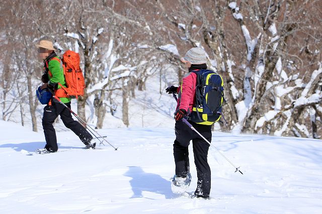 花染山。ブナ回廊を楽しむ。_e0137200_21342968.jpg