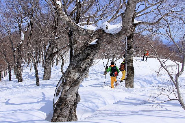 花染山。ブナ回廊を楽しむ。_e0137200_21345473.jpg