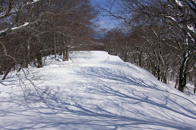 花染山。ブナ回廊を楽しむ。_e0137200_2134770.jpg