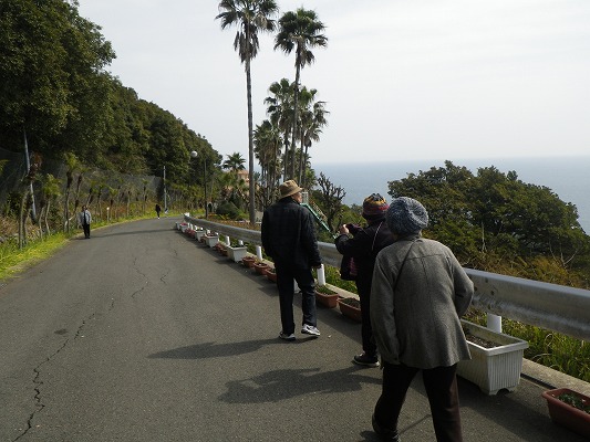 長崎県亜熱帯植物園　　_f0187402_20141442.jpg