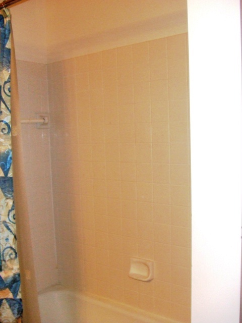 c0062603_12572928.jpg