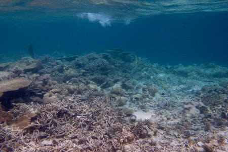e0338303_16182233.jpg
