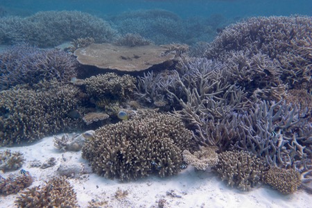 e0338303_1618810.jpg