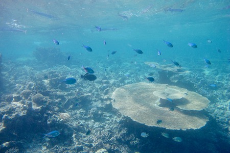 e0338303_16195438.jpg