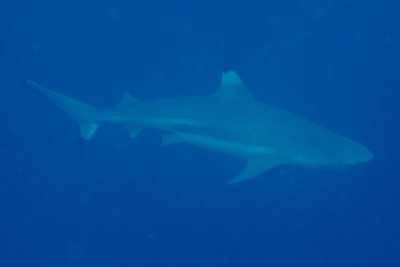 e0338303_16195950.jpg