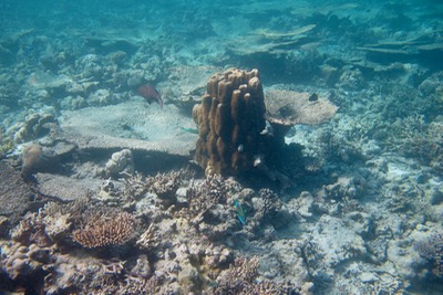 e0338303_16201319.jpg