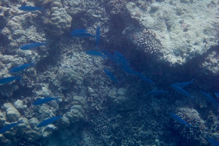 e0338303_1639097.jpg