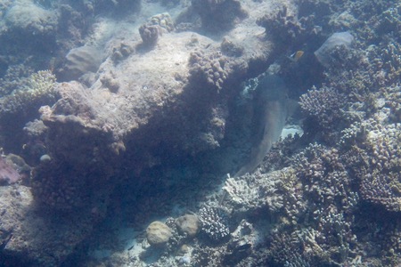 e0338303_16392130.jpg