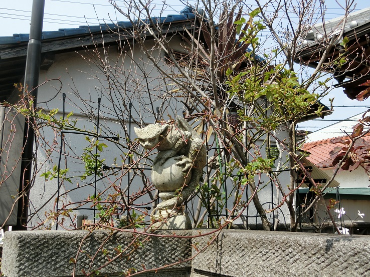 色んな植物以外にもバラ達も動き出して_e0234004_2142979.jpg