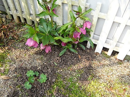 c0112206_23358.jpg