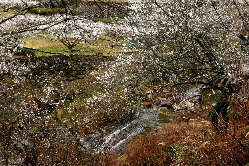 d0140806_845411.jpg