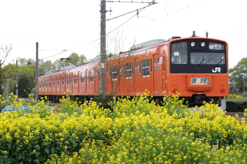 b0353411_00100441.jpg
