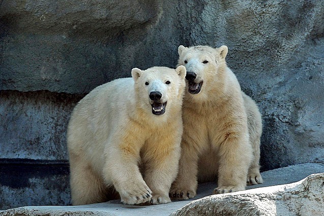 a0151913_013940.jpg