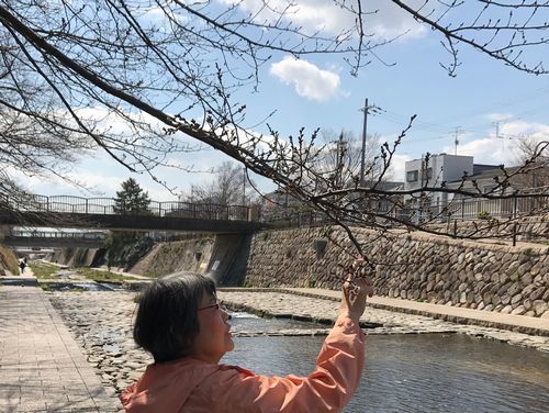 桜の開花を求めて!!_f0223914_22402766.jpg