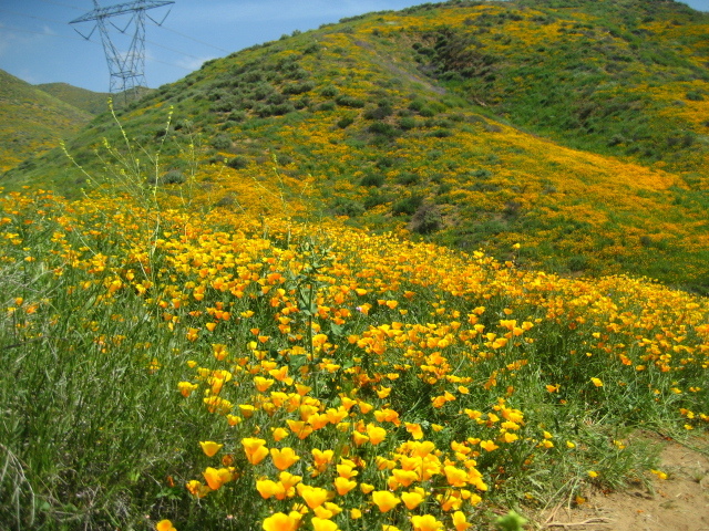 Walker canyon_f0300716_13050801.jpg