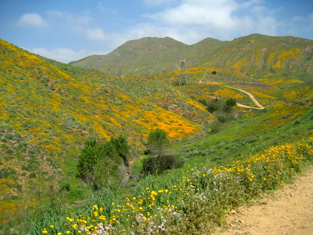 Walker canyon_f0300716_13063367.jpg