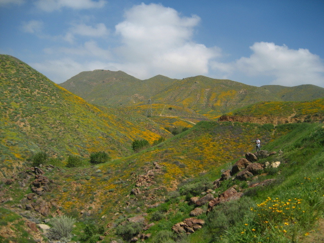 Walker canyon_f0300716_13064403.jpg