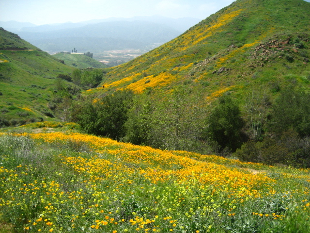 Walker canyon_f0300716_13075418.jpg