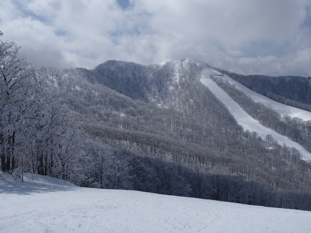 c0141223_19043694.jpg