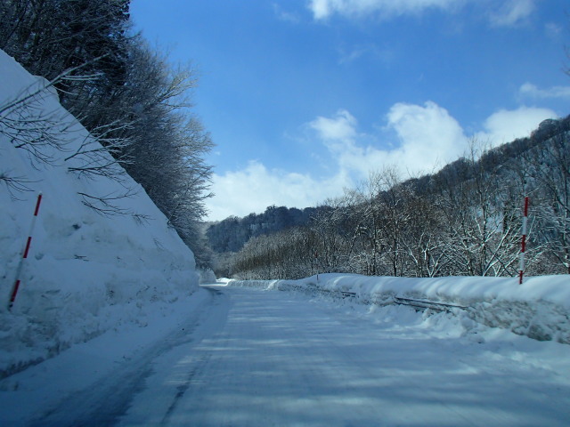 c0141223_19125264.jpg