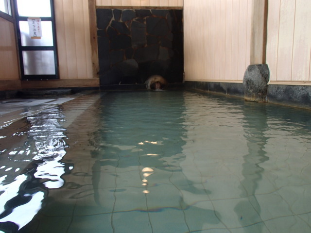 c0141223_19200950.jpg