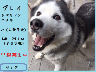 f0343323_18312766.png
