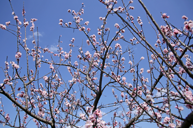 c0104227_13533512.jpg
