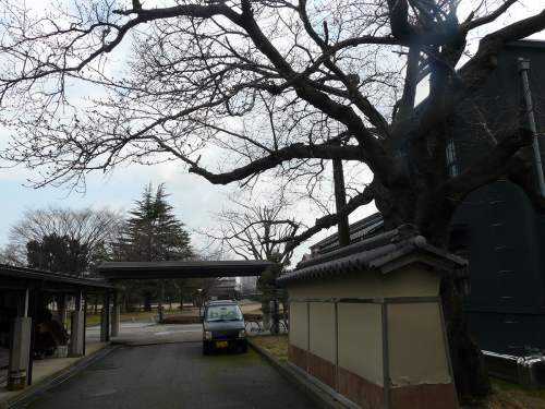 三寒四温 春近し_e0118827_09270796.jpg