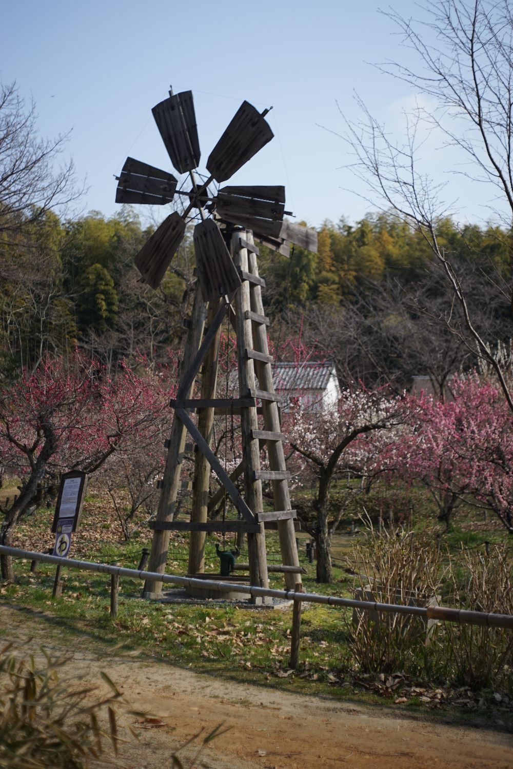 引き伸ばしレンズ E-ヘキサノン50mmF3.5で_b0069128_10265128.jpg