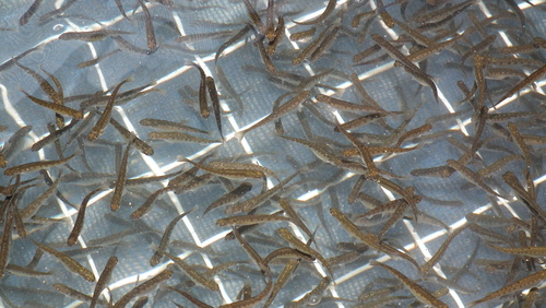 c0185132_2115272.jpg