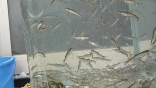 c0185132_21161872.jpg