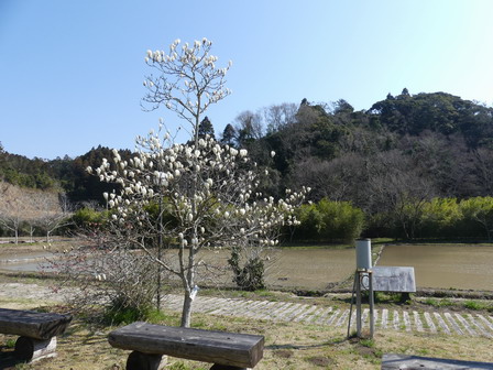 a0123836_16572960.jpg